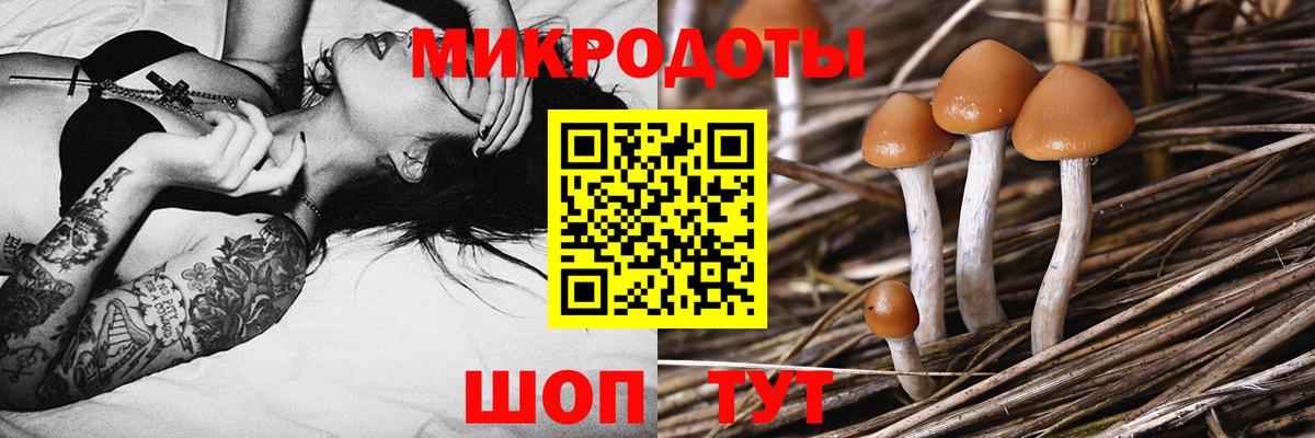 Галлюциногенные грибы мухоморы Лениногорск